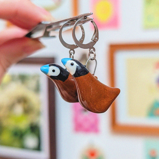Ruddy Duck Earrings